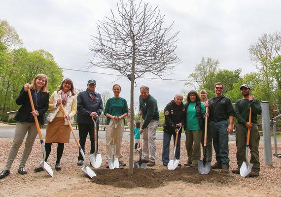 Emerald Tree & Shrub Care Company