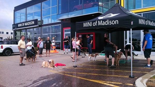 Dog and Car wash benefiting Dane County Humane Society.