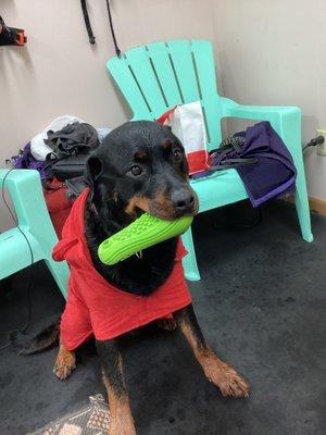 Flynn refusing to give up his toy after a barrage of cannon balling into the pool