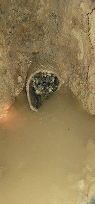 Broken sewer pipe with that Michaelis negligently filled with stones and rocks.