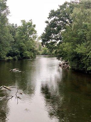 Great views of the Huron River that cuts through Fuller Park.