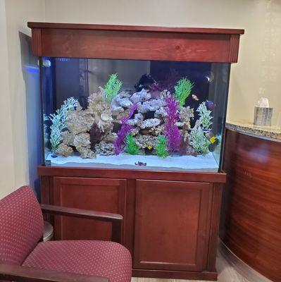 Fish tank in waiting area