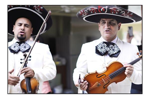 Mariachi Voces de America