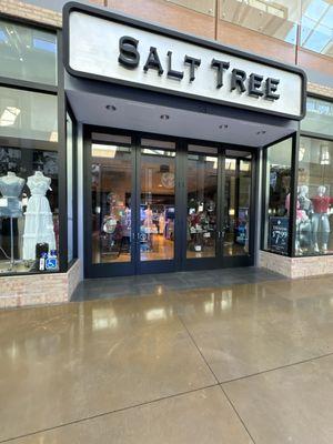 Salt tree in Northgate