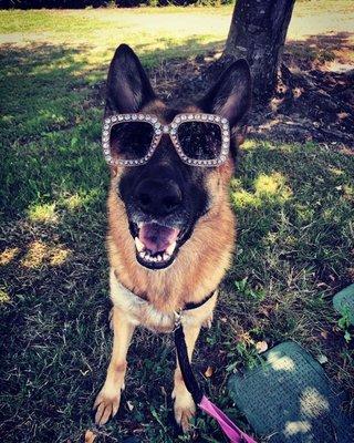 Look at that smile. She loves being walked by Howling Hounds!