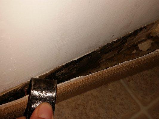 Mold hides behind baseboard