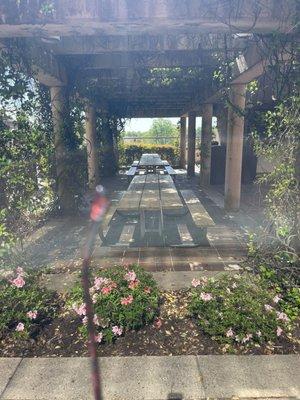 Beautiful shaded outdoor area