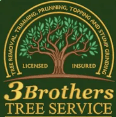 3 Brothers Tree Service