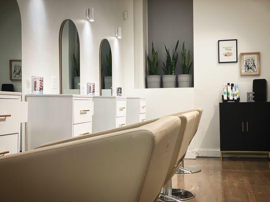 Salon Cutting Area