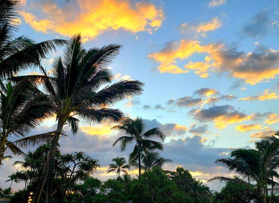 Driving beautiful Maui with our Maui Budget Rental Car