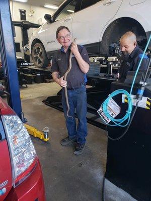 This fella was hiding deep behind the tire of someone's car, Mike to the rescue!