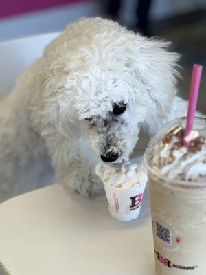 Baby Vene and his pup cup.