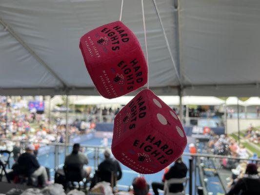 LIFE TIME, San Clemente, CA!  Major League Pickleball @PickleballGirls   MLP PRO Tournament  (6/18/2023)