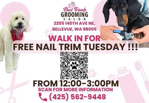 Pamper your furry friend with a FREE nail trim every Tuesday at Best Friends Grooming Salon!