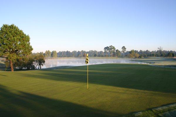 Hole #17 Challenging Par 3