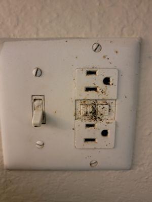 Outlet completely covered in roach feces