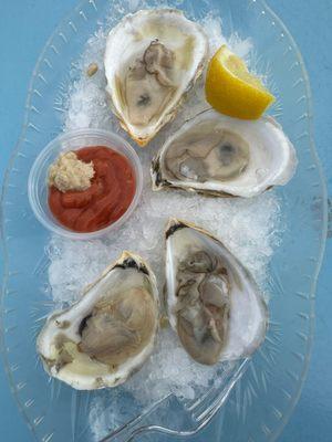 Oysters