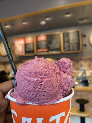 Marionberry Sherbert