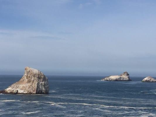 Diablo Canyon Tour Information