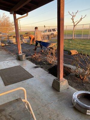 Sod install