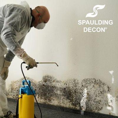 Mold Cleanup from Spaulding Decon