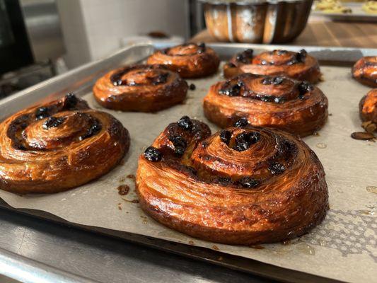 Morning light shining on our Pain au Raisin