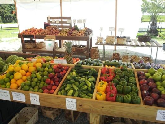 Quality produce all summer long !  Field tomatoes, SC peaches, butta bean & more.. Good food ain't cheap and cheap food ain't good Julia. WA