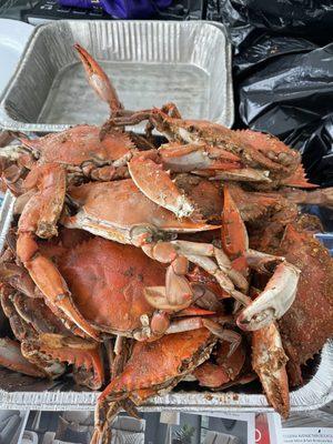 Steamed Blue Crabs - Heavy seasoning.