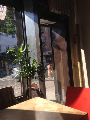 This is the view out the window of the Greenpoint Brooklyn Whiskers on a sunny Saturday afternoon.