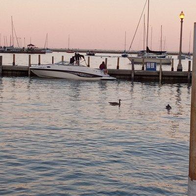 Boat docks