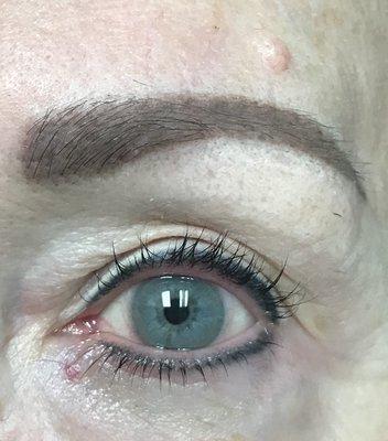 Healed brows and liner with a liner highlight