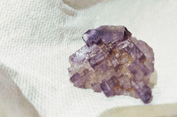 We took this lovely fluorite home. :-)