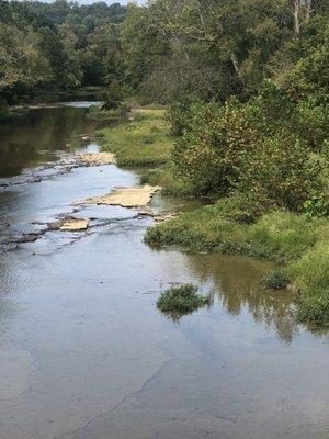 Floyds Fork you can see fish and turtles below bridge