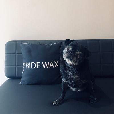 Pride Wax Greeter (only kidding, this is MY dog)