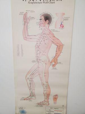 Meridians chart in therapy room