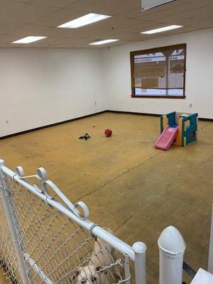 Front Daycare Arena