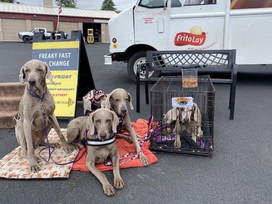 Camping out at Freaky Fast, from L to R, Sean, Meadow, Jade & McKenzee.