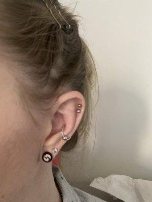 New conch piercing!!