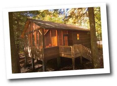 Your cabin in the woods. Private, secluded, romantic.