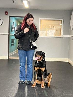 Happy Tails Learning Center for Dogs