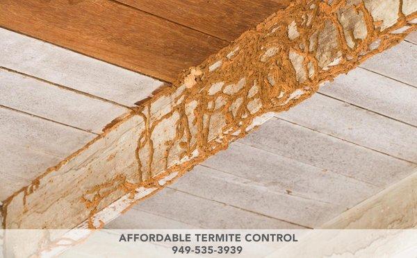 Affordable Termite Control 1710 N. Morningside Street,Orange, CA 92867 949-535-3939 http://www.affordabletermitecontroloc.com