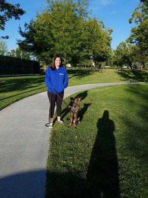 Dog training at the park.