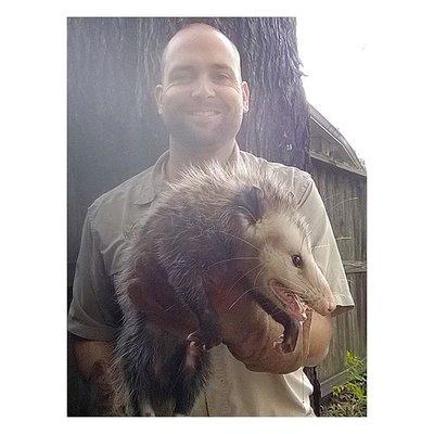 possum removal