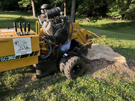 Angel Tree Stump Cutter Service & Trimming