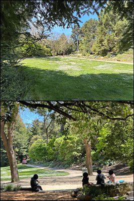 National AIDS Memorial Grove, just a bite of lunch in the grove