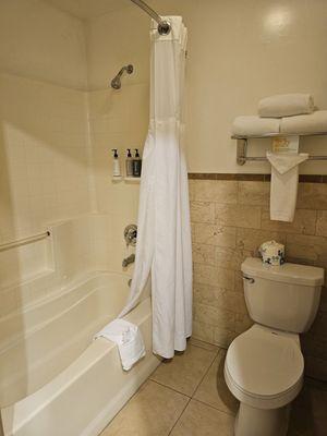 Tub/ shower combo