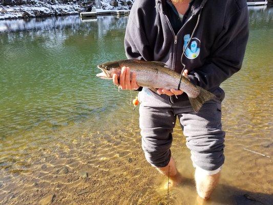 4 LB Rainbow Trout - Thanks Mark at Sierra's Fly & Tackle