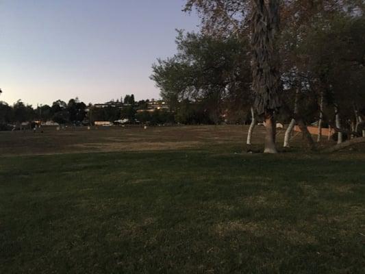 tons of rough/dry grass and gopher holes.