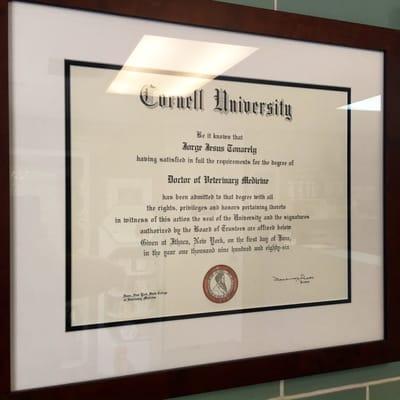 Dr. J. Tonarely's Cornell Degree