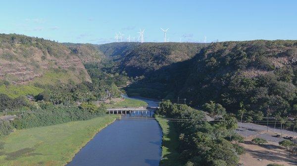 Waimea Falls Windmills